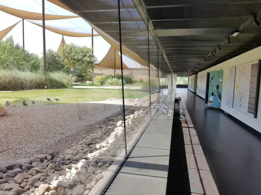 Wasit Wetland Centre — Al Madam (United Arab Emirates)