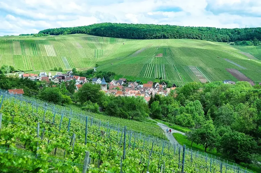 Weinstadt – Stadt