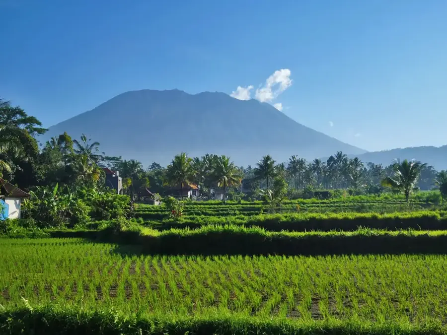West-Bali-Nationalpark