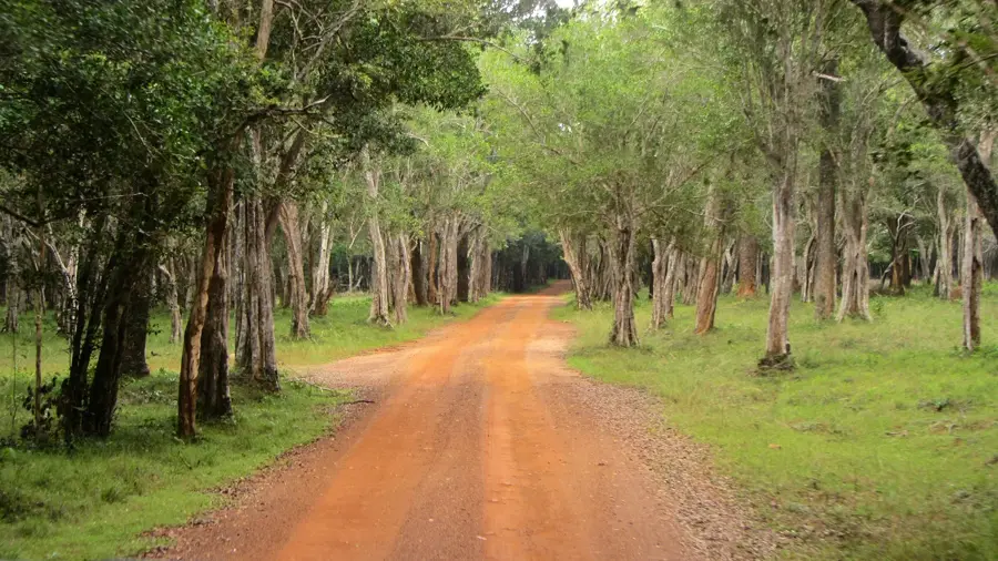 Parcul Național Wilpattu — Chilaw (Sri Lanka)