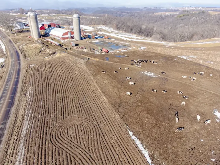 Wisconsin Dairy Farms — Springfield, IL (United States)