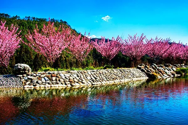Wuling-Farm — Taipingshan (Taiwan)