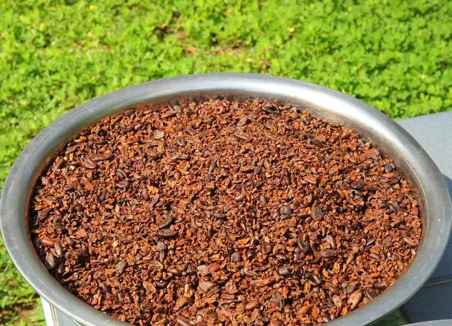 Xai-Xai — Macia (Mosambik)