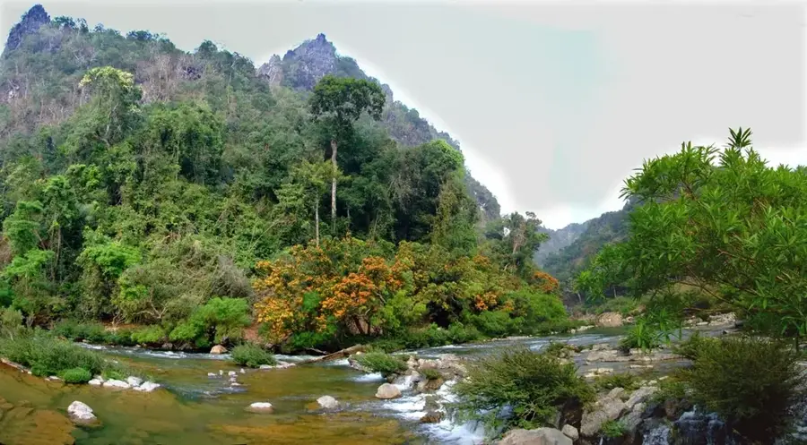 Xe Bang Fai Fluss — Formosa Hà Tĩnh Steel (Vietnam)