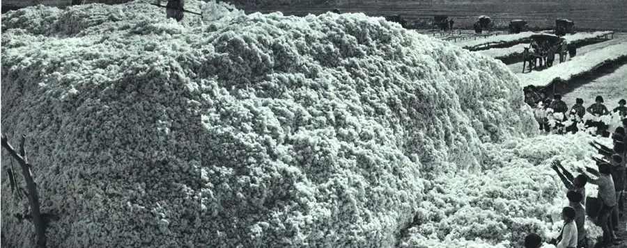 Baumwollfelder von Xinjiang — K2 (China)