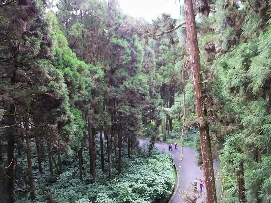 Xitou-Naturerholungsgebiet — Hehuanshan (Taiwan)