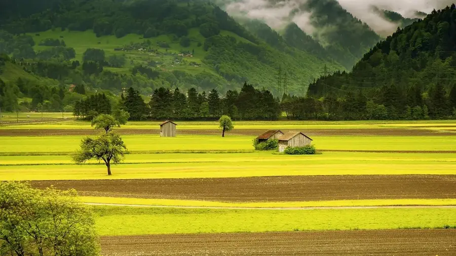 Sommerweiden im Jagnob-Tal — Aini (Tadschikistan)