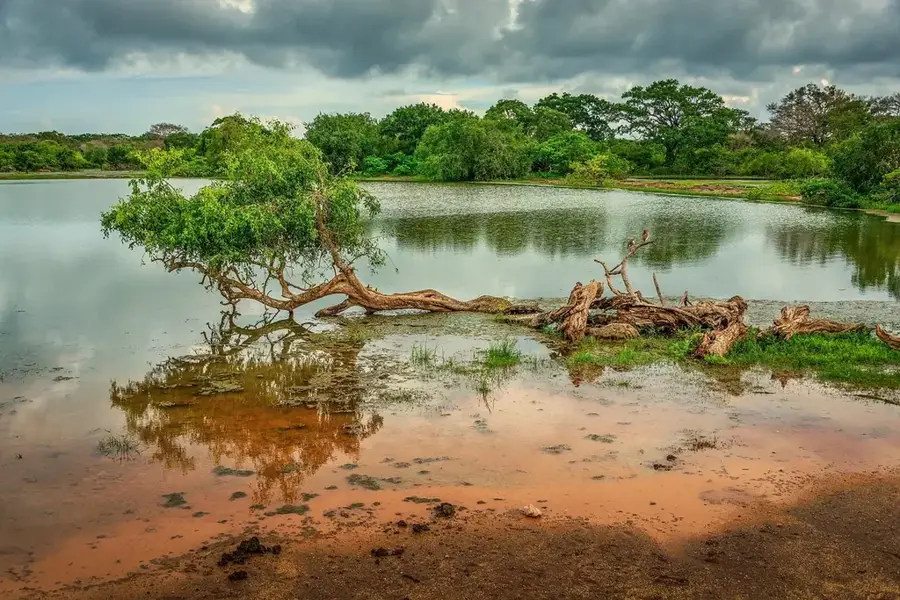 Yala-folyó — Viktória-tó (Kenya)