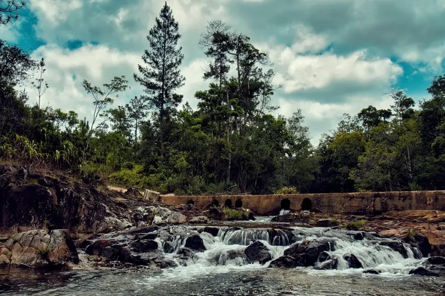 Yo Creek — Rio Bravo Conservation Area (Belize)