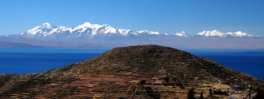 Terasele de Coca din Yungas