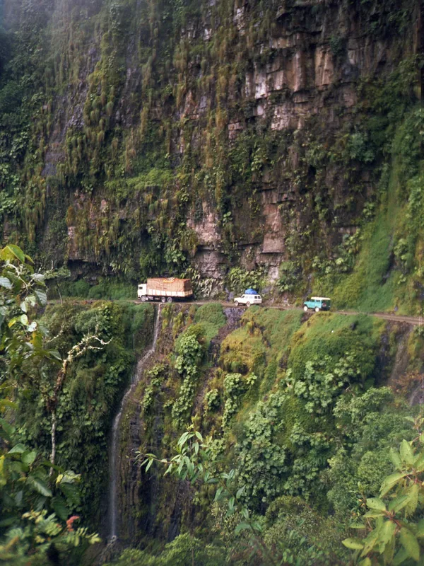 Regiunea de Cafea Yungas — Illimani (Bolivia)