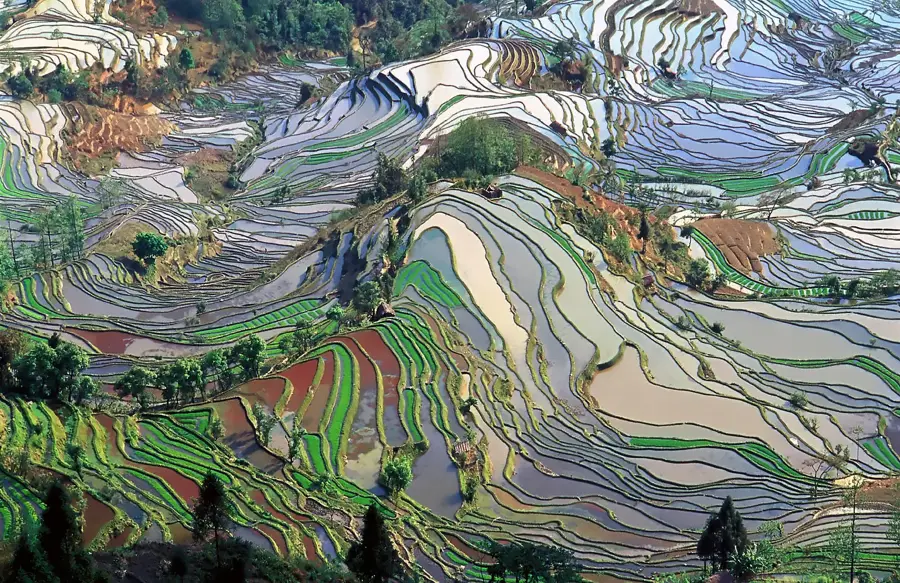 Reisterrassen von Yunnan — Điện Biên Phủ (Vietnam)