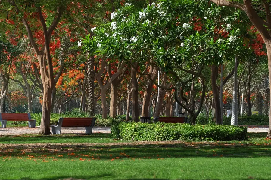 Zabeel Park — Quranic Park (United Arab Emirates)