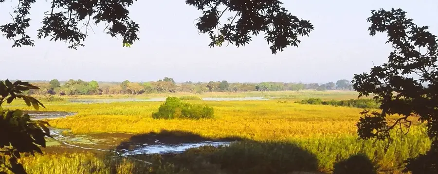 Kasanka National Park — Chipata Maize Fields (Zambia)