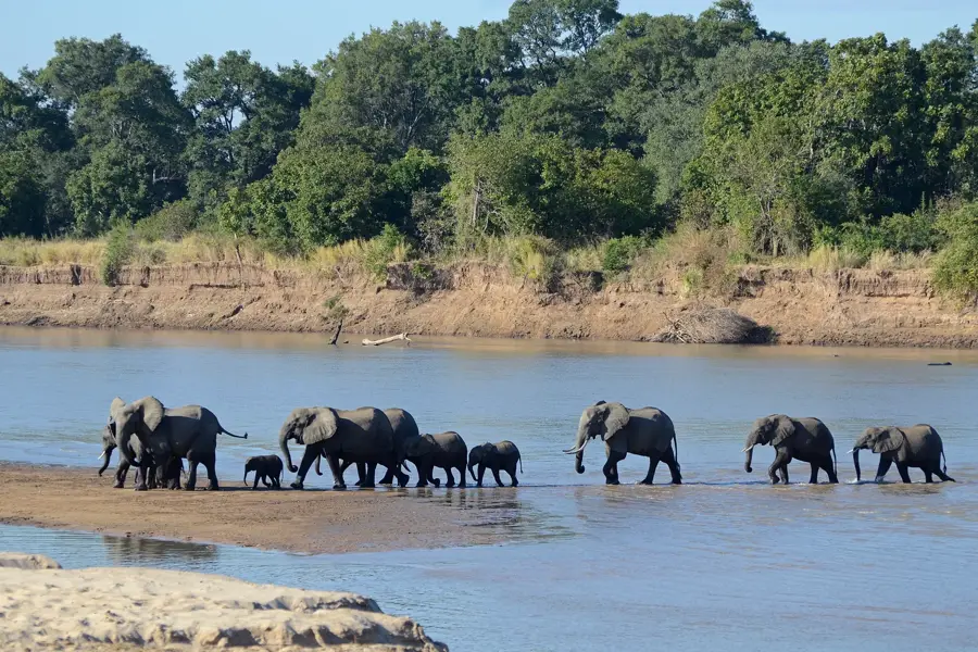 North Luangwa National Park — Nakonde (Zambia)