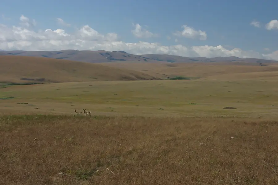 Nyika-fennsík