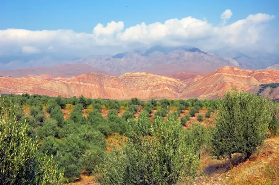 Zanjan