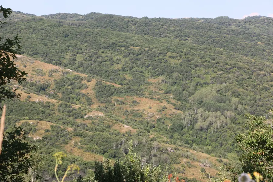 Dsungarischer-Alatau-Nationalpark — Scharyn-Canyon (Kasachstan)