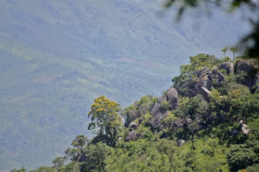 Vumba