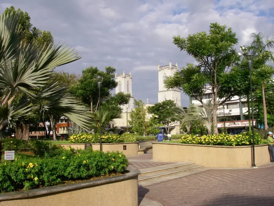David Commercial Center