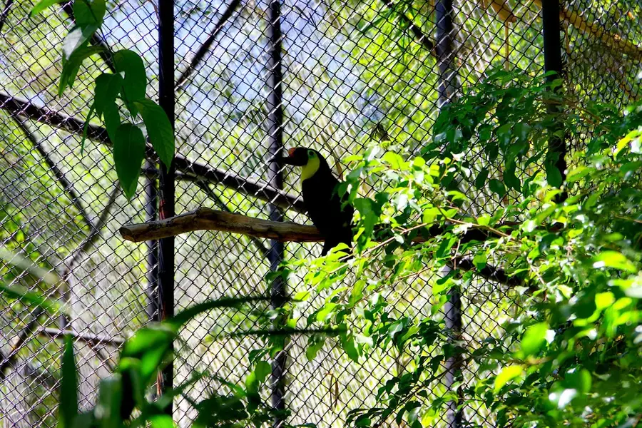 Saret Free Trade Zone — Quesada (Costa Rica)