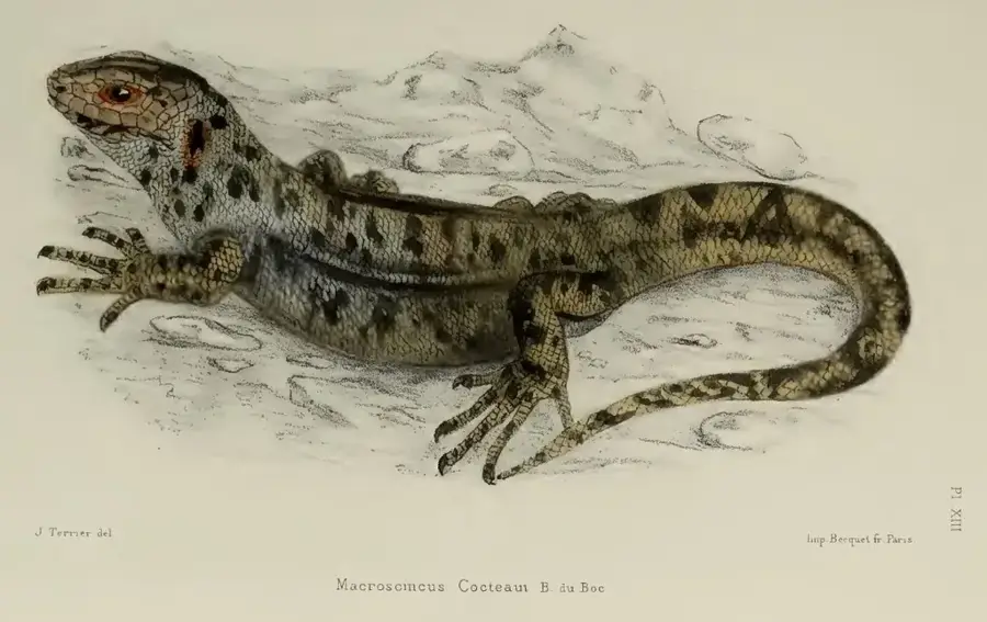 Tierpark von Mindelo — Cabnave-Schiffswerft (Cabo Verde)