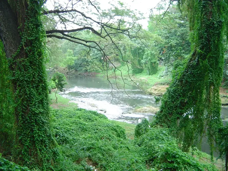 Havana Zoo (July 26)
