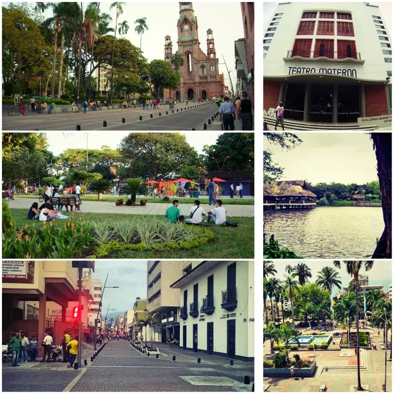 Plantațiile de trestie de zahăr din Valle del Cauca — Yumbo (Columbia)