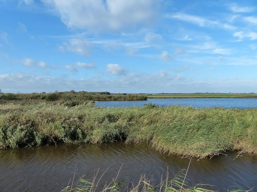Aalkeetbuitenpolder