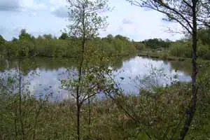 Abullahagens naturreservat