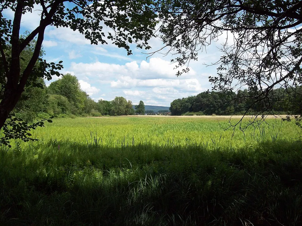 Affelderchen und Rettichbruch von Klein-Welzheim