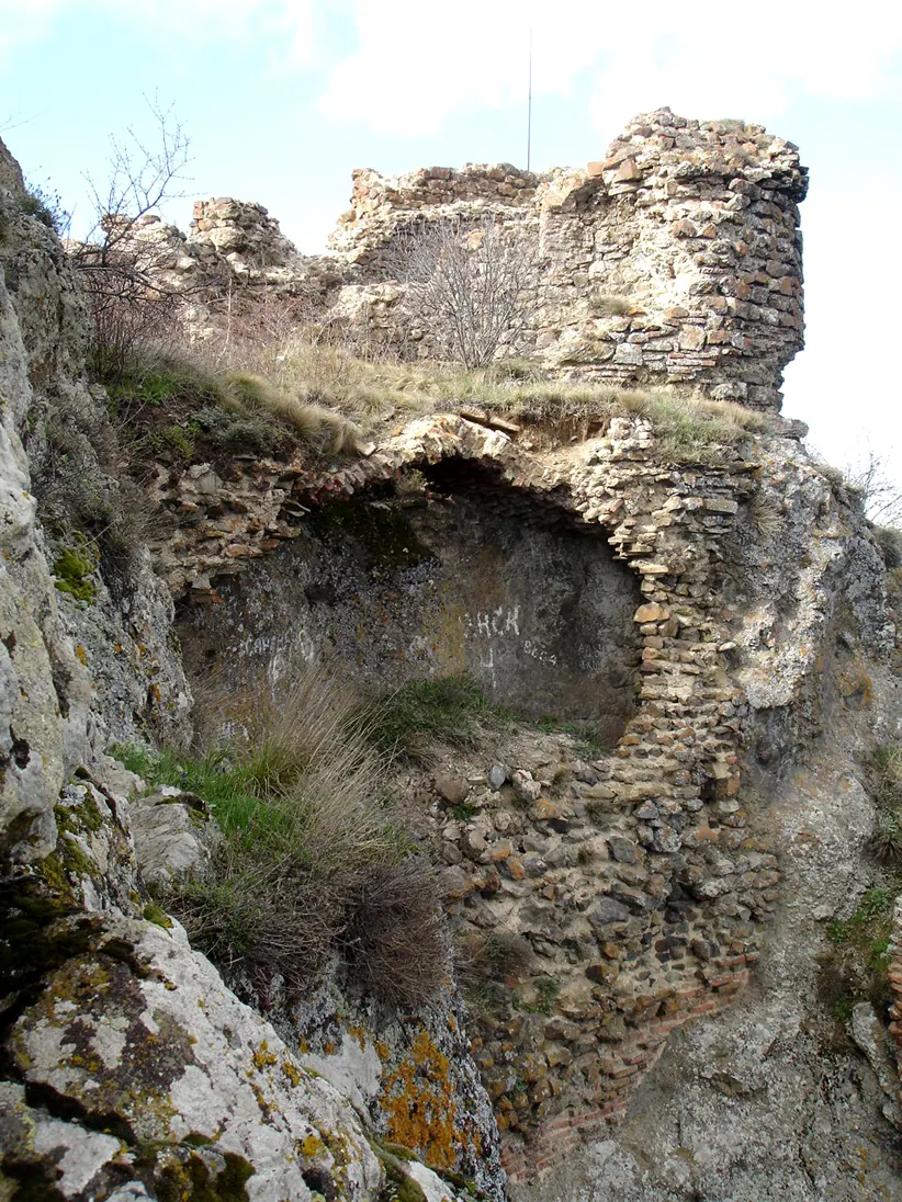 agarani