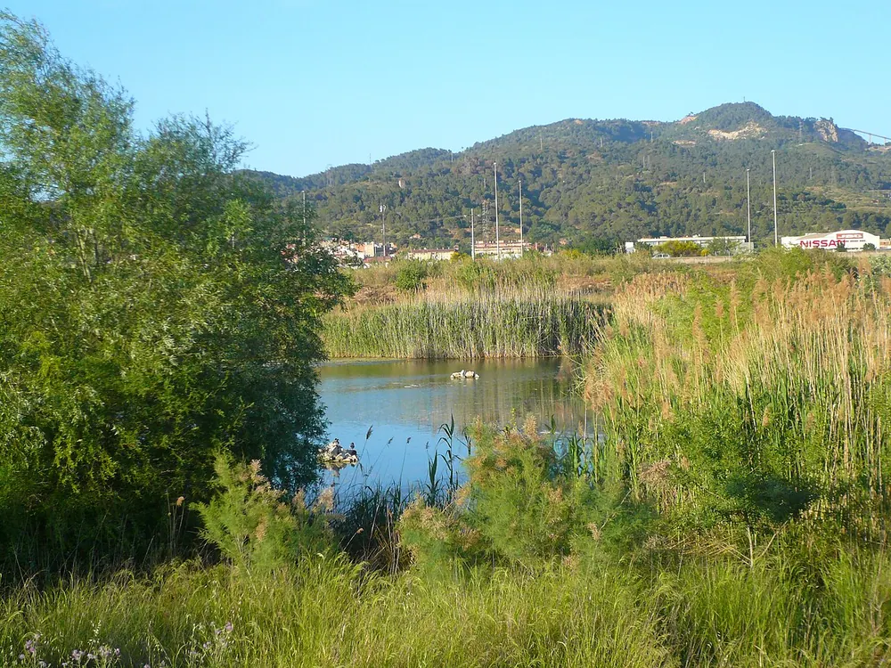 Aiguamolls de Molins de Rei