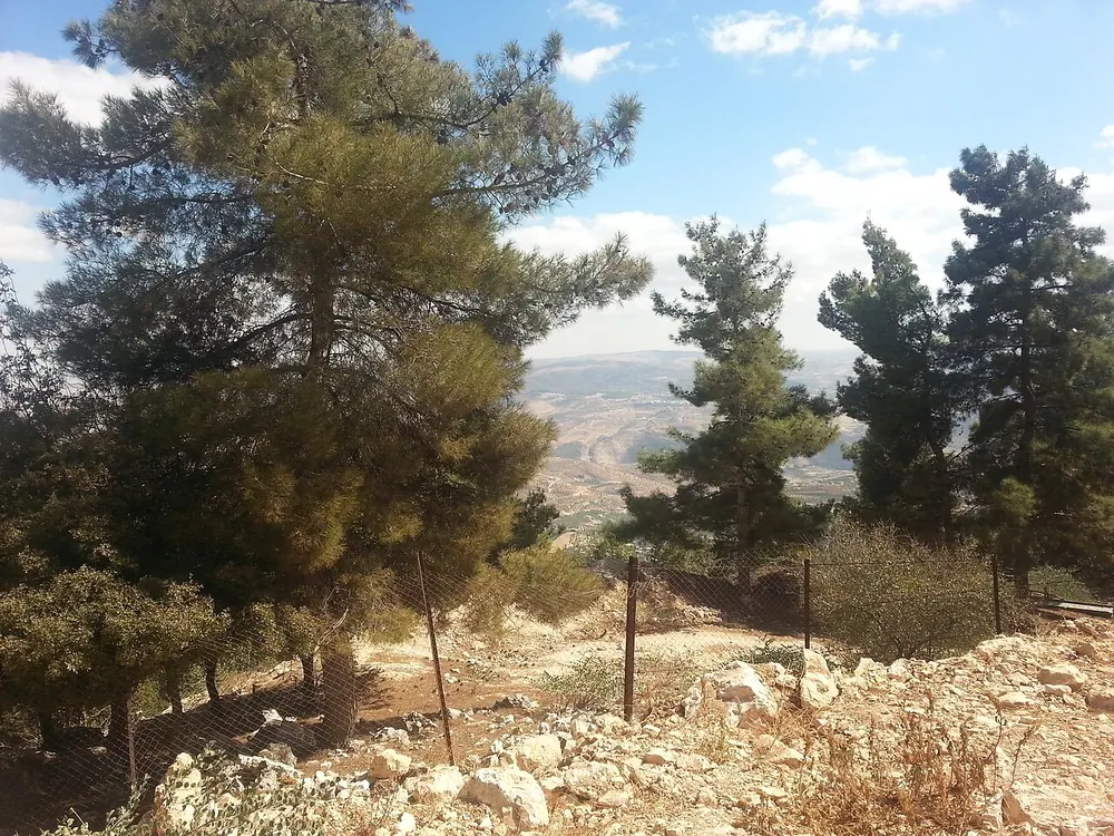 Ajloun Forest Reserve