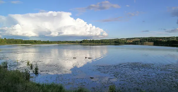 Akersvika naturreservat