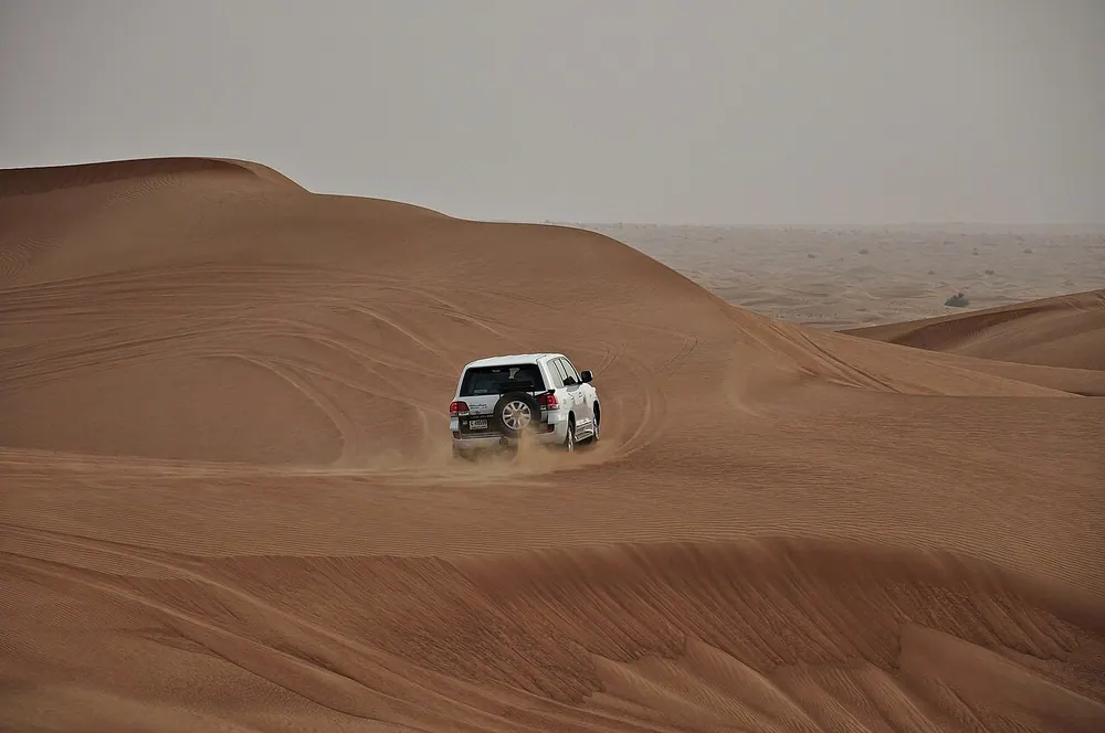 Al Marmoom Desert Conservation Reserve