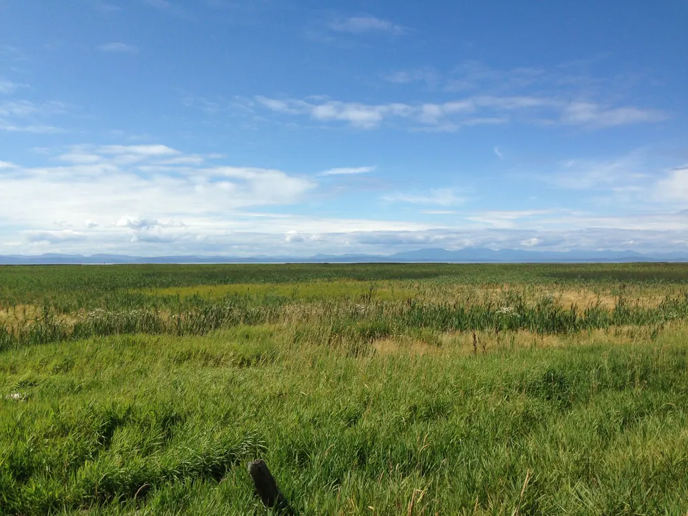 Alaksen National Wildlife Area