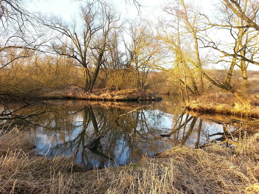 Altmain und Sandmagerrasen bei Limbach