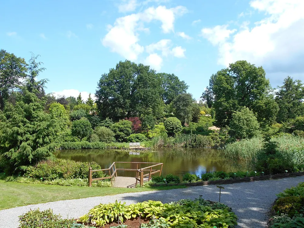 Arboretum Wojslawice w Niemczy