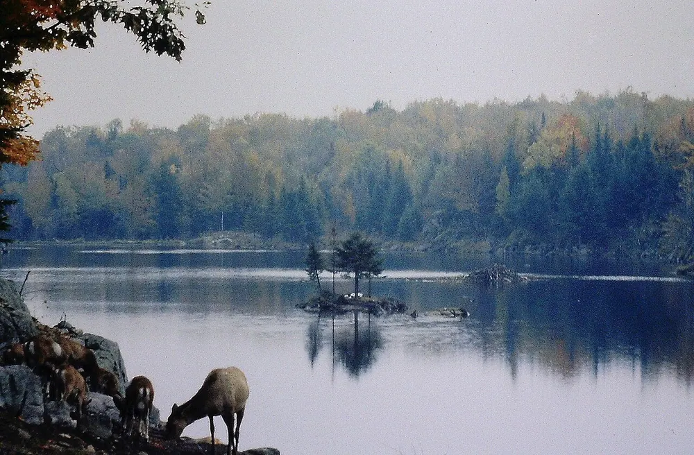 Parc Oméga