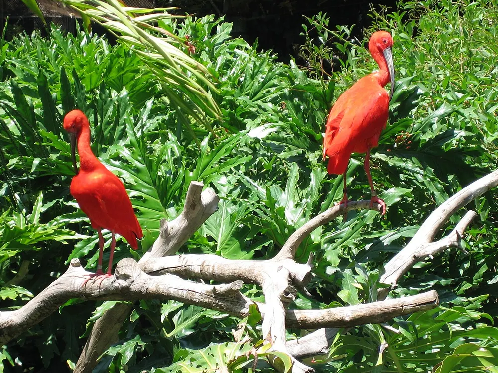 Santa Ana Zoo at Prentice Park