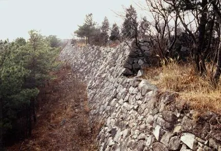 seosaengpowaeseong
