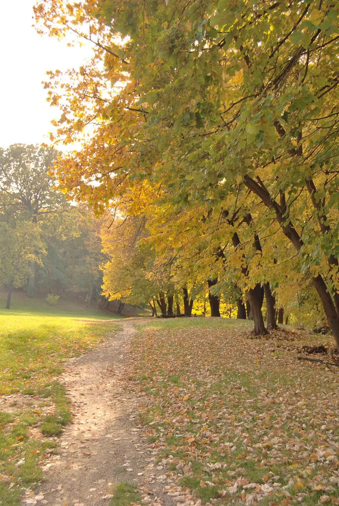 Kamenichki park