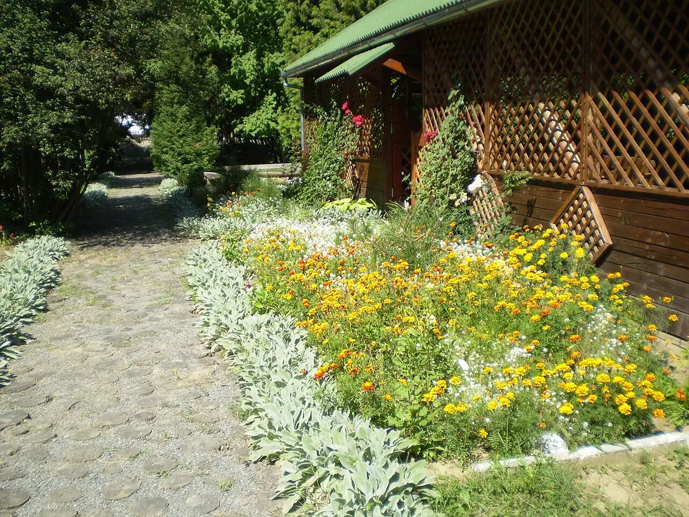 Uchnivs'kii dendrologichnii park