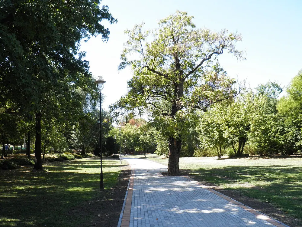 Futoshki park