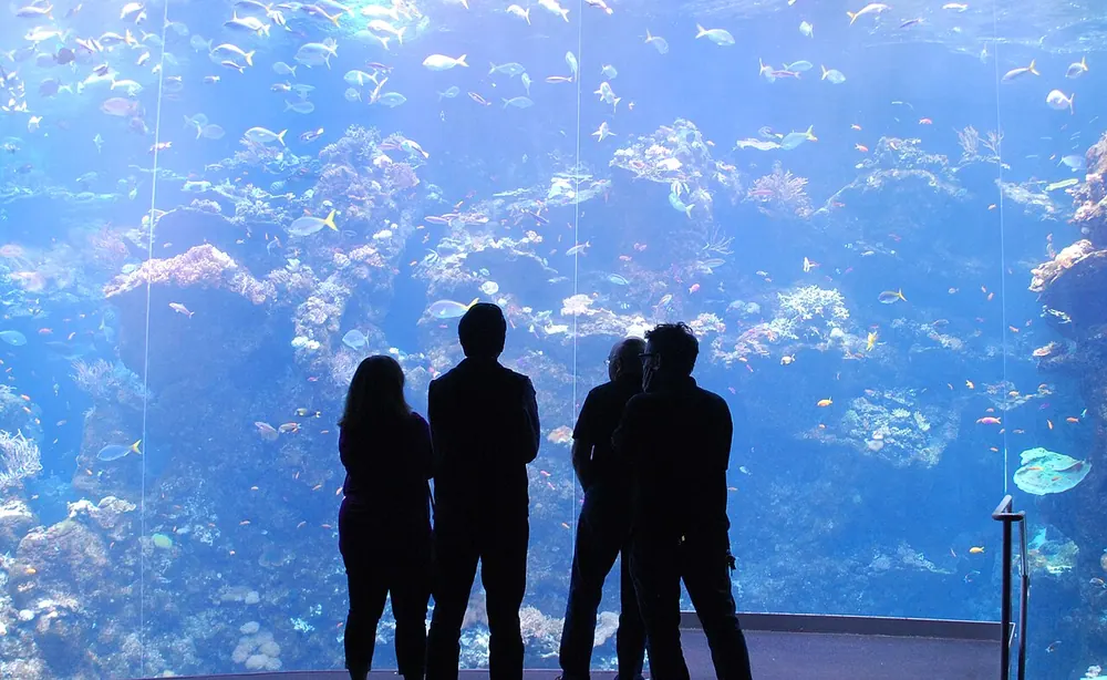Steinhart Aquarium