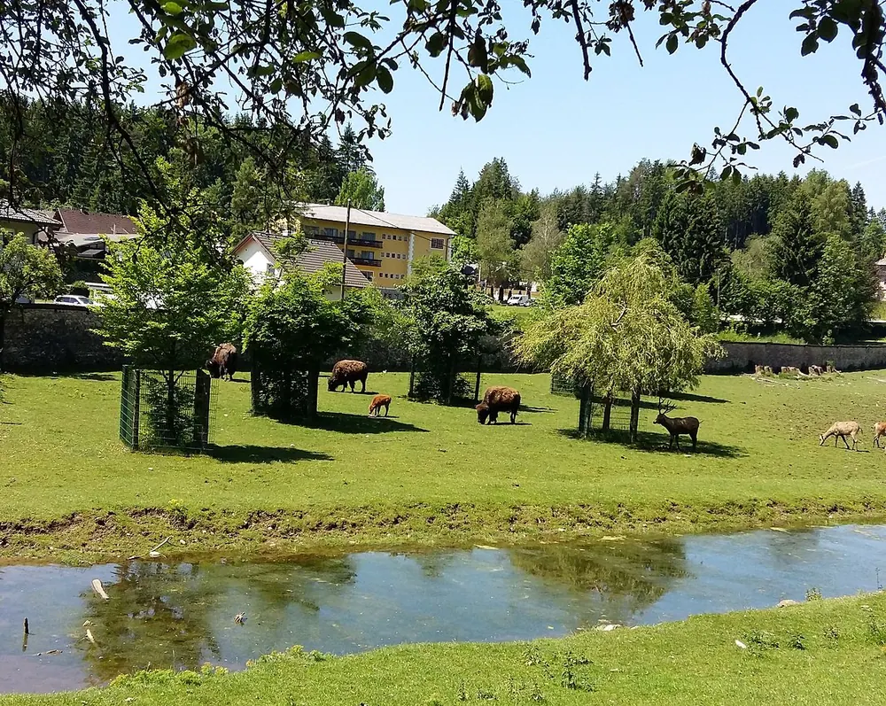 Wildpark Rosegg