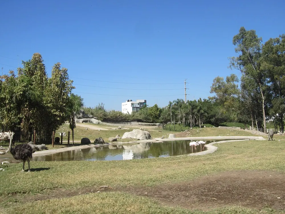 Zoológico Guadalajara